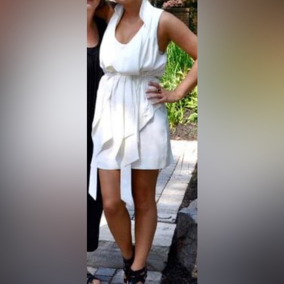Beautiful Dream Dress for Business or Wedding Guest - Picture 3 of 3